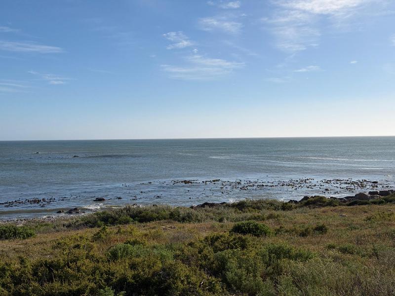 0 Bedroom Property for Sale in Cape St Martin Private Reserve Western Cape